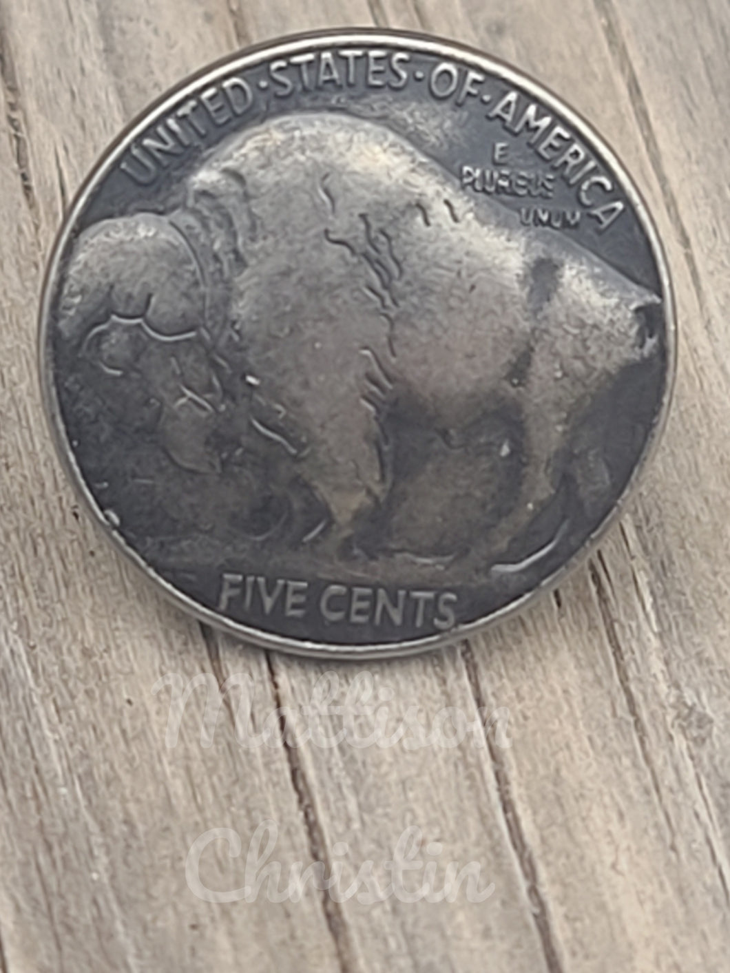 10 Buffalo Replicated Nickle Tacks