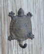 Turtle Hook Cast Iron Coat Towel Key Hook