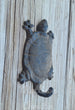 Turtle Hook Cast Iron Coat Towel Key Hook