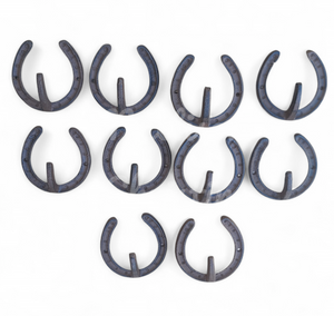 10 Horseshoe Cast Iron Key Coat Towel Hat Hook Rack