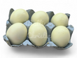 6 Resin Chicken Eggs - White