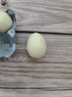 6 Resin Chicken Eggs - White