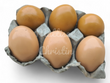 6 Resin Chicken Eggs - Lt. Brown/Dk. Brown