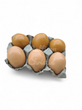 6 Resin Chicken Eggs - Lt. Brown/Dk. Brown