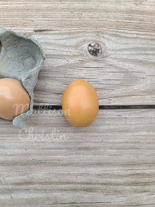 6 Resin Chicken Eggs - Lt. Brown/Dk. Brown