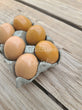 6 Resin Chicken Eggs - Lt. Brown/Dk. Brown