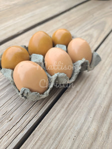 6 Resin Chicken Eggs - Lt. Brown/Dk. Brown